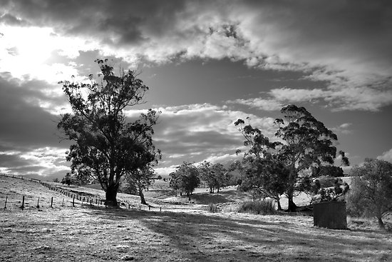 autumn-in-the-valley-jindivick autumn-in-the-valley-jindivick