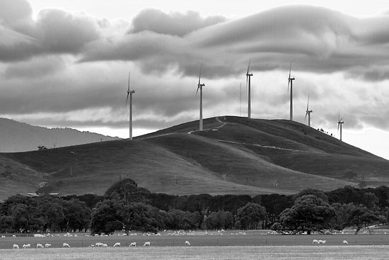ballyrogan-mills