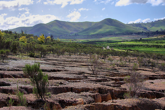 the-blight-on-the-fairytale-bonnie-doon
