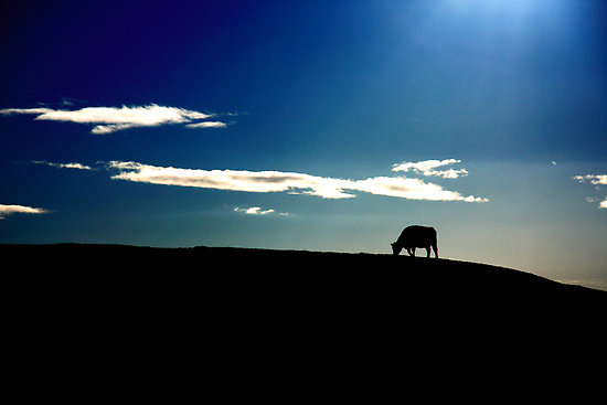 serenity-hill-toora serenity-hill-toora