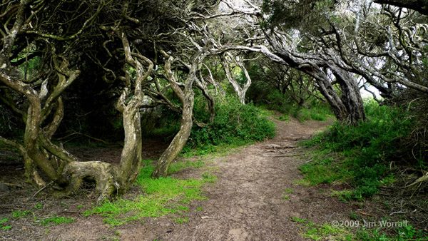 P1010152_small_watermarked