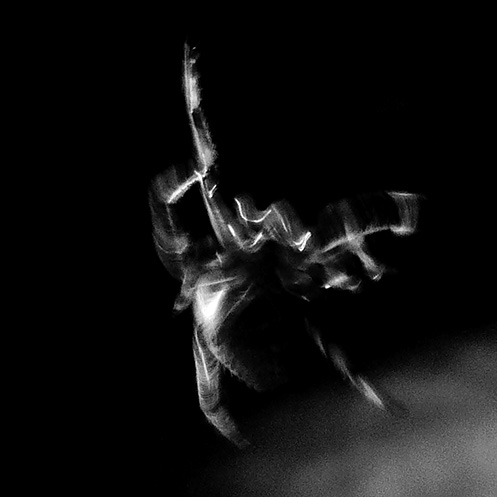 orb6 - Orb-weaver spider movement - Jim Worrall