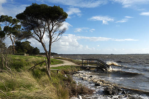 Grantville beach at high tide - Jim Worrall - Westernport Bay