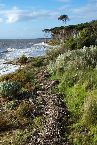 Grantville beach at high tide - Jim Worrall - Westernport Bay Grantville beach at high tide - Jim Worrall - Westernport Bay