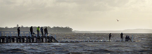 Grantville jetty during a king tide - Jim Worrall - Westernport Bay