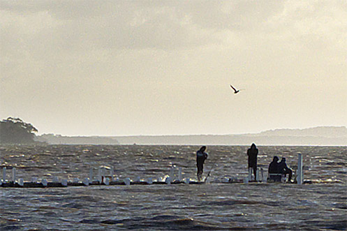 Fishermen on Grantville jetty during a king tide - Jim Worrall - Westernport Bay Fishermen on Grantville jetty during a king tide - Jim Worrall - Westernport Bay