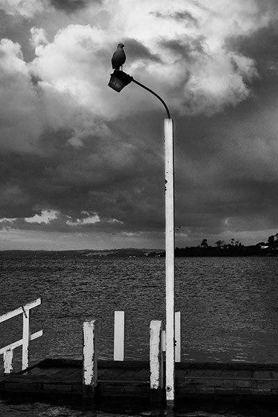 Corinella jetty - Jim Worrall - Corinella - Australia