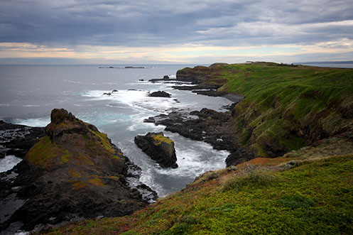 Looking west along The Boulevard towards the Nobbies - Jim Worrall - Phillip Island - Australia