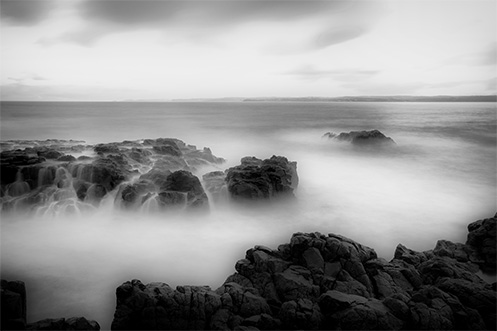 Evidence of Life - Cowrie beach - Jim Worrall - Phillip Island - Australia