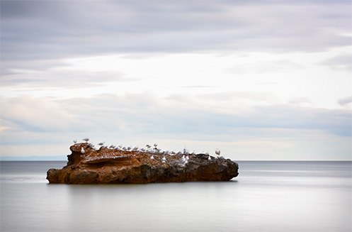 Lord of the Gulls - Mentone beach - Jim Worrall - Australia