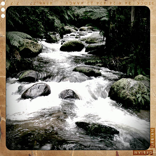 Toorongo River - Retro Camera version - Jim Worrall - Noojee - Australia