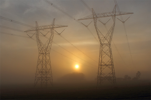 Giants in the Mist - Autumn in Cranbourne - Jim Worrall - fog - Australia