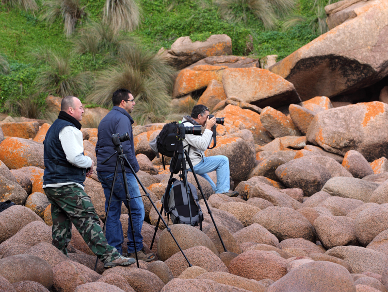 Pinnacles excursion participants