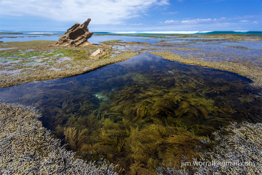 Sorrento rock pools - Jim Worrall - Mornington Peninsula - Australia