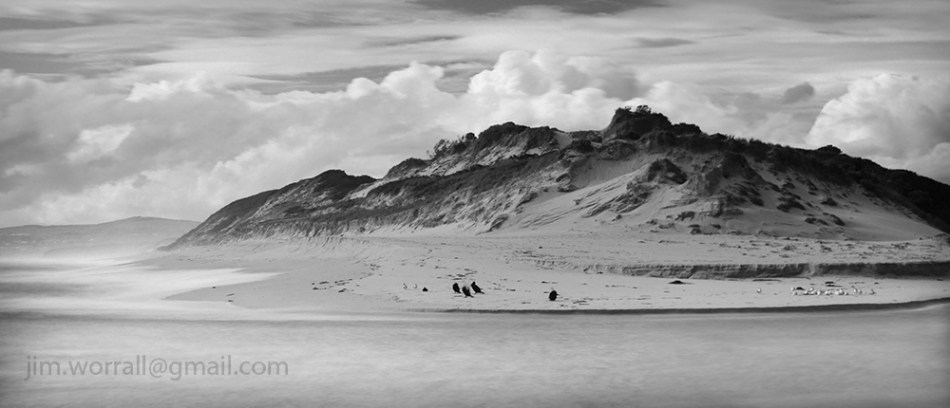 Powlett River - Jim Worrall - Life on the Dunes