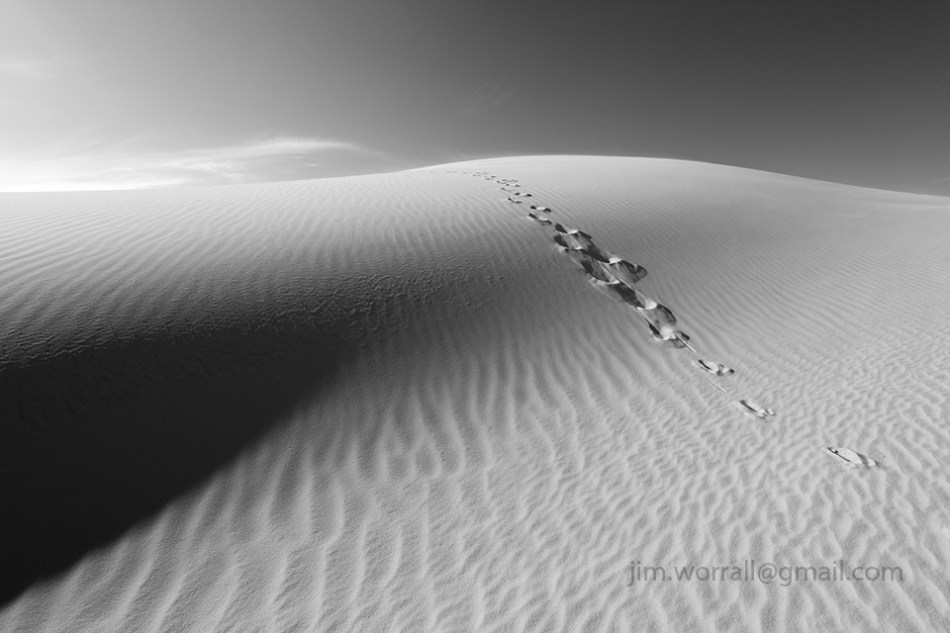 Jim Worrall kangaroo paw prints sand dunes desert