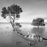 Jim Worrall, Tenby Point, Western Port Bay, long exposure, ND400, seascape, black and white